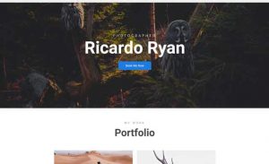 Website Template Demo for Photographer or Artisit