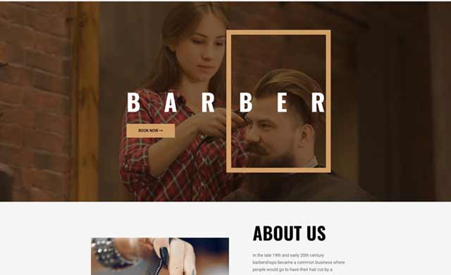 Website Template Demo for Hairdresser or Barber