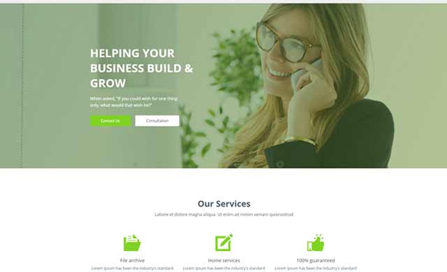 Website landing page Template Demo for small Business or small businss advisor